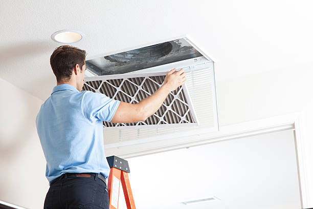 Best HVAC air duct cleaning  in Berrien Springs, MI